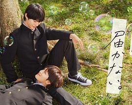 网站优化公司ihanshi